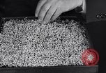 Image of Removal of ancient relics from Spiro mounds Spiro Oklahoma USA, 1936, second 55 stock footage video 65675041281