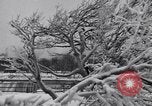 Image of Niagara Falls Niagara Falls New York USA, 1936, second 24 stock footage video 65675041282