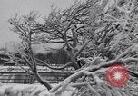 Image of Niagara Falls Niagara Falls New York USA, 1936, second 25 stock footage video 65675041282