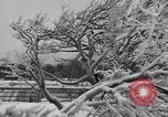 Image of Niagara Falls Niagara Falls New York USA, 1936, second 26 stock footage video 65675041282