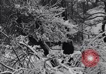 Image of Niagara Falls Niagara Falls New York USA, 1936, second 28 stock footage video 65675041282