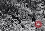 Image of Niagara Falls Niagara Falls New York USA, 1936, second 29 stock footage video 65675041282