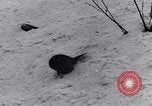 Image of Niagara Falls Niagara Falls New York USA, 1936, second 36 stock footage video 65675041282