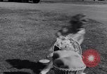 Standbild Patsy Grimmett Glendale California USA, 1936, aus Sekunde 37 historischem Filmmaterial Videoclip 65675041285