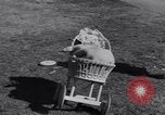 Standbild Patsy Grimmett Glendale California USA, 1936, aus Sekunde 39 historischem Filmmaterial Videoclip 65675041285