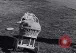 Standbild Patsy Grimmett Glendale California USA, 1936, aus Sekunde 40 historischem Filmmaterial Videoclip 65675041285