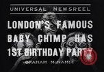 Immagine di Baby scimpanzé Londra Inghilterra Regno Unito, 1936, secondo 4 filmato di repertorio 65675041290