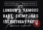 Immagine di Baby scimpanzé Londra Inghilterra Regno Unito, 1936, secondo 5 filmato di repertorio 65675041290