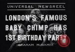Immagine di Baby scimpanzé Londra Inghilterra Regno Unito, 1936, secondo 6 filmato di repertorio 65675041290