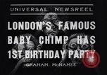 Immagine di Baby scimpanzé Londra Inghilterra Regno Unito, 1936, secondo 7 filmato di repertorio 65675041290