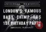 Immagine di Baby scimpanzé Londra Inghilterra Regno Unito, 1936, secondo 8 filmato di repertorio 65675041290