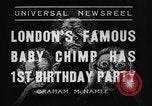 Immagine di Baby scimpanzé Londra Inghilterra Regno Unito, 1936, secondo 9 filmato di repertorio 65675041290