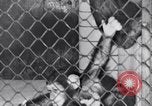 Immagine di Baby scimpanzé Londra Inghilterra Regno Unito, 1936, secondo 19 filmato di repertorio 65675041290