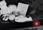 Immagine di Baby scimpanzé Londra Inghilterra Regno Unito, 1936, secondo 26 filmato di repertorio 65675041290