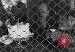 Immagine di Baby scimpanzé Londra Inghilterra Regno Unito, 1936, secondo 37 filmato di repertorio 65675041290