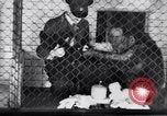 Immagine di Baby scimpanzé Londra Inghilterra Regno Unito, 1936, secondo 39 filmato di repertorio 65675041290