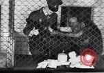 Immagine di Baby scimpanzé Londra Inghilterra Regno Unito, 1936, secondo 40 filmato di repertorio 65675041290