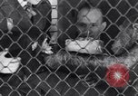 Immagine di Baby scimpanzé Londra Inghilterra Regno Unito, 1936, secondo 41 filmato di repertorio 65675041290