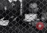 Immagine di Baby scimpanzé Londra Inghilterra Regno Unito, 1936, secondo 42 filmato di repertorio 65675041290