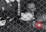 Immagine di Baby scimpanzé Londra Inghilterra Regno Unito, 1936, secondo 43 filmato di repertorio 65675041290