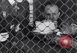 Immagine di Baby scimpanzé Londra Inghilterra Regno Unito, 1936, secondo 44 filmato di repertorio 65675041290
