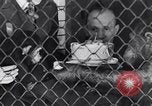 Immagine di Baby scimpanzé Londra Inghilterra Regno Unito, 1936, secondo 45 filmato di repertorio 65675041290