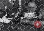 Immagine di Baby scimpanzé Londra Inghilterra Regno Unito, 1936, secondo 47 filmato di repertorio 65675041290