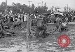 Immagine di Il fango wrestling Los Angeles California USA, 1936, secondo 21 filmato di repertorio 65675041292