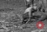 Immagine di Il fango wrestling Los Angeles California USA, 1936, secondo 28 filmato di repertorio 65675041292