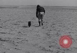 Standbild Kaninchen während dustbowl Texas United States USA, 1936, aus Sekunde 10 historischem Filmmaterial Videoclip 65675041297