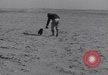 Standbild Kaninchen während dustbowl Texas United States USA, 1936, aus Sekunde 11 historischem Filmmaterial Videoclip 65675041297