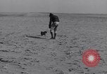 Standbild Kaninchen während dustbowl Texas United States USA, 1936, aus Sekunde 12 historischem Filmmaterial Videoclip 65675041297