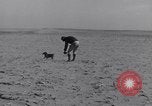 Standbild Kaninchen während dustbowl Texas United States USA, 1936, aus Sekunde 14 historischem Filmmaterial Videoclip 65675041297
