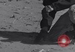 Standbild Kaninchen während dustbowl Texas United States USA, 1936, aus Sekunde 22 historischem Filmmaterial Videoclip 65675041297