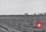 Standbild Kaninchen während dustbowl Texas United States USA, 1936, aus Sekunde 23 historischem Filmmaterial Videoclip 65675041297