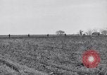 Standbild Kaninchen während dustbowl Texas United States USA, 1936, aus Sekunde 24 historischem Filmmaterial Videoclip 65675041297