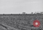 Standbild Kaninchen während dustbowl Texas United States USA, 1936, aus Sekunde 25 historischem Filmmaterial Videoclip 65675041297