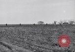 Standbild Kaninchen während dustbowl Texas United States USA, 1936, aus Sekunde 26 historischem Filmmaterial Videoclip 65675041297