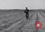 Standbild Kaninchen während dustbowl Texas United States USA, 1936, aus Sekunde 27 historischem Filmmaterial Videoclip 65675041297