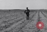 Standbild Kaninchen während dustbowl Texas United States USA, 1936, aus Sekunde 28 historischem Filmmaterial Videoclip 65675041297