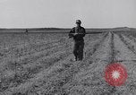 Standbild Kaninchen während dustbowl Texas United States USA, 1936, aus Sekunde 29 historischem Filmmaterial Videoclip 65675041297
