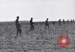 Standbild Kaninchen während dustbowl Texas United States USA, 1936, aus Sekunde 30 historischem Filmmaterial Videoclip 65675041297