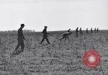 Standbild Kaninchen während dustbowl Texas United States USA, 1936, aus Sekunde 31 historischem Filmmaterial Videoclip 65675041297