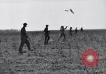 Standbild Kaninchen während dustbowl Texas United States USA, 1936, aus Sekunde 32 historischem Filmmaterial Videoclip 65675041297