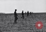 Standbild Kaninchen während dustbowl Texas United States USA, 1936, aus Sekunde 33 historischem Filmmaterial Videoclip 65675041297