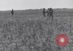 Standbild Kaninchen während dustbowl Texas United States USA, 1936, aus Sekunde 37 historischem Filmmaterial Videoclip 65675041297