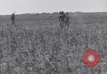 Standbild Kaninchen während dustbowl Texas United States USA, 1936, aus Sekunde 38 historischem Filmmaterial Videoclip 65675041297