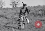 Standbild Kaninchen während dustbowl Texas United States USA, 1936, aus Sekunde 49 historischem Filmmaterial Videoclip 65675041297