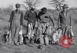Standbild Kaninchen während dustbowl Texas United States USA, 1936, aus Sekunde 52 historischem Filmmaterial Videoclip 65675041297