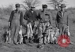 Standbild Kaninchen während dustbowl Texas United States USA, 1936, aus Sekunde 54 historischem Filmmaterial Videoclip 65675041297